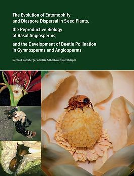 The Evolution of Entomophily and Diaspore Dispersal in Seed Plants, the Reproductive Biology of Basal Angiosperms, and the Development of Beetle Pollination in Gymnosperms and Angiosperms