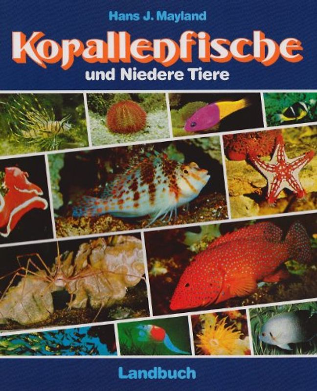 Korallenfische und Niedere Tiere