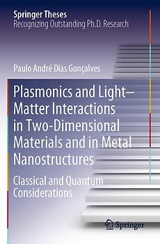 Plasmonics and Light–Matter Interactions in Two-Dimensional Materials and in Metal Nanostructures