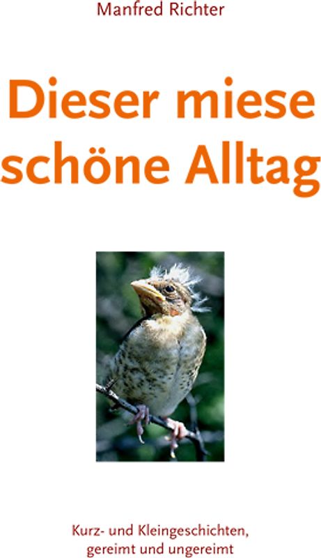 Dieser miese schöne Alltag