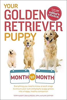Your Golden Retriever Puppy Month by Month