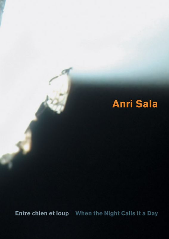 Anri Sala. Entre chien et loup. When the Night Calls it a Day.