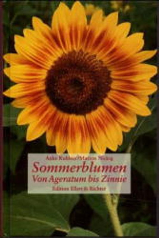 Sommerblumen