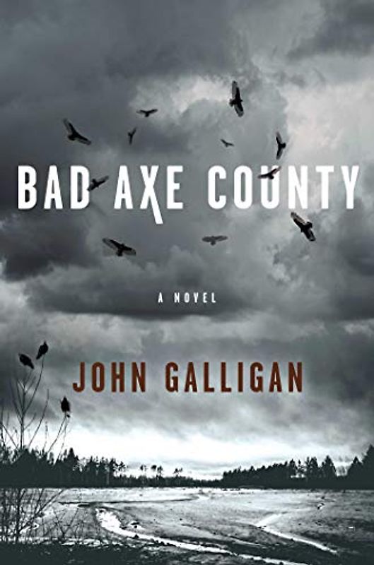 Bad Axe County: A Novel (Volume 1) (A Bad Axe County Novel)