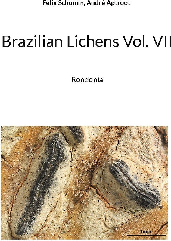 Brazilian Lichens Vol. VII