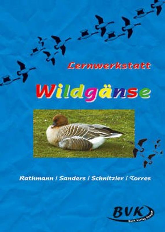 Lernwerkstatt Wildgänse