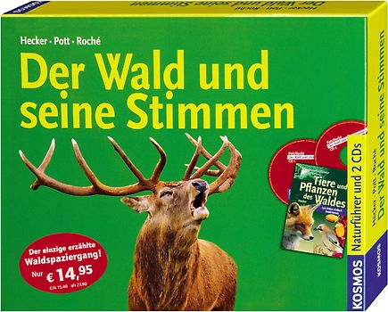 Der Wald und seine Stimmen