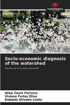 Socio-economic diagnosis of the watershed