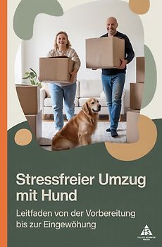 Stressfreier Umzug mit Hund