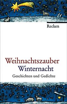 Weihnachtszauber Winternacht