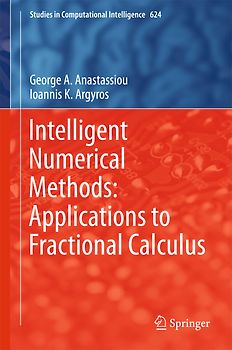 Intelligent Numerical Methods: Applications to Fractional Calculus