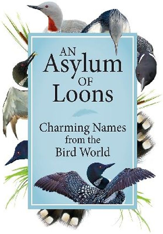 An Asylum of Loons