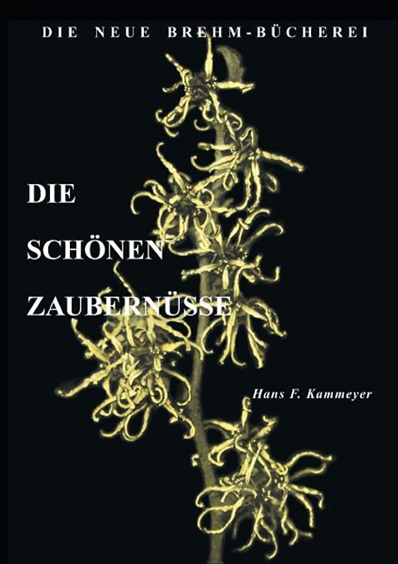 Die schönen Zaubernüsse