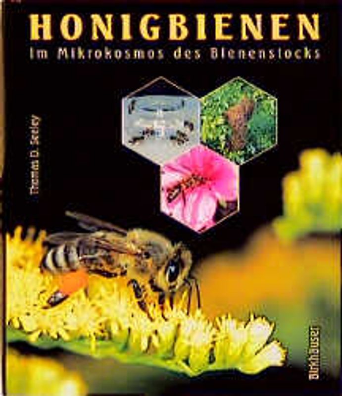 Honigbienen. Im Mikrokosmos des Bienenstocks