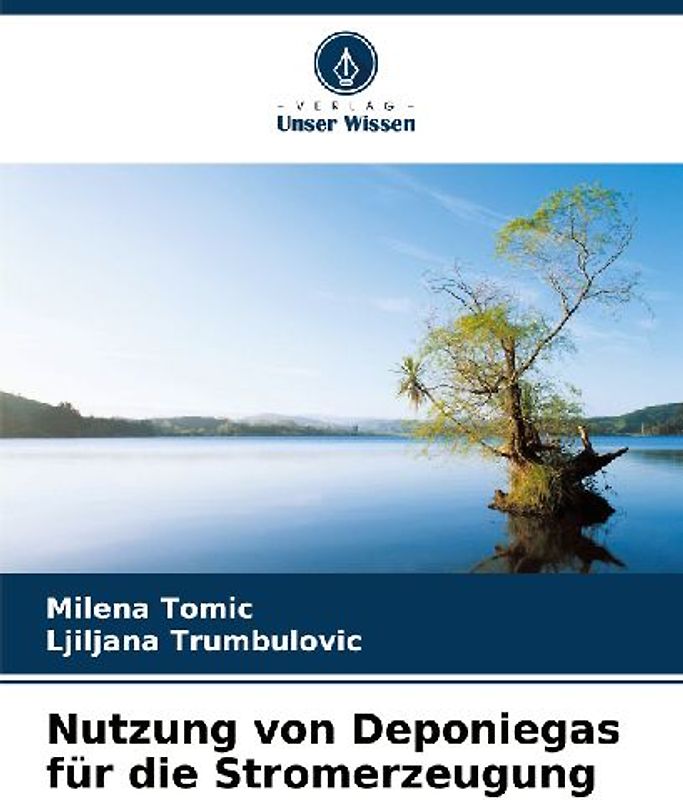 Nutzung von Deponiegas für die Stromerzeugung