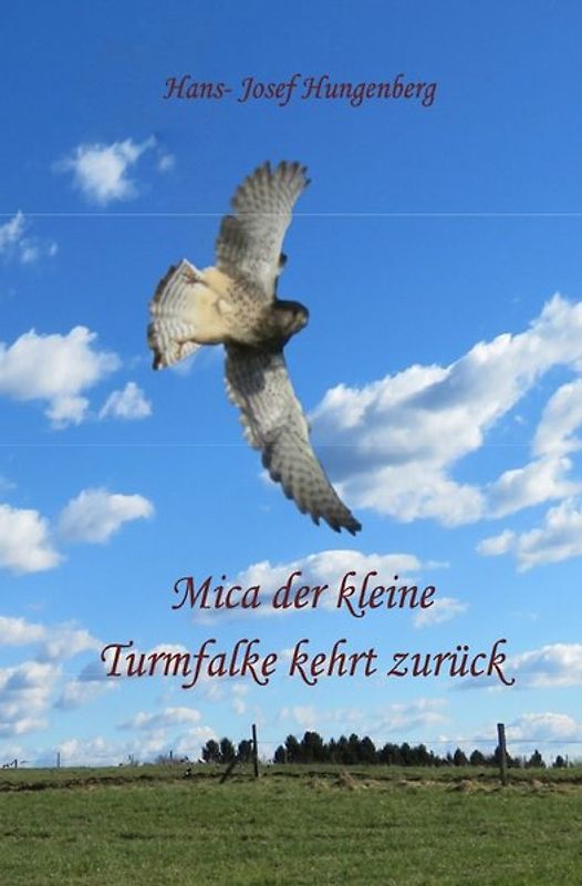 Mica der kleine Turmfalke kehrt zurück
