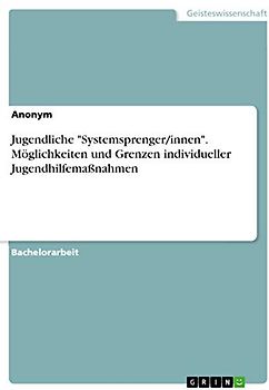 Jugendliche "Systemsprenger/innen". Möglichkeiten und Grenzen individueller Jugendhilfemaßnahmen: Batchelorarbeit