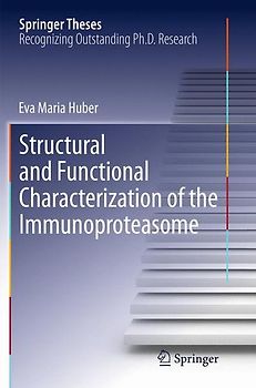 Structural and Functional Characterization of the Immunoproteasome