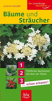 Bäume und Sträucher. Treffsicher bestimmen mit dem 3er-Check 1... 2... 3... ...schon erkannt!