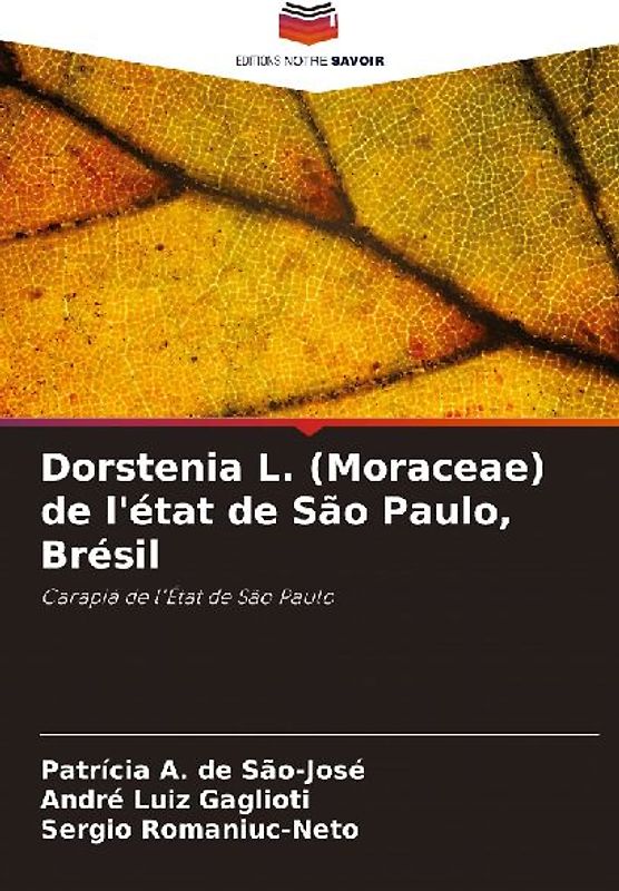 Dorstenia L. (Moraceae) de l'état de São Paulo, Brésil