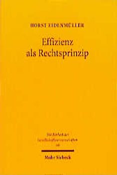 Effizienz als Rechtsprinzip