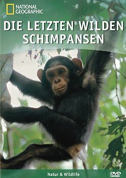 letzten wilden Schimpansen, Die DVD