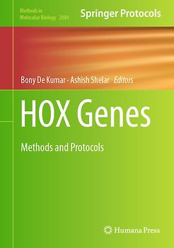 HOX Genes