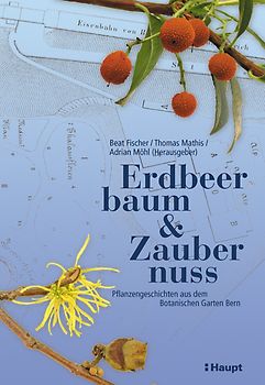 Erdbeerbaum & Zaubernuss