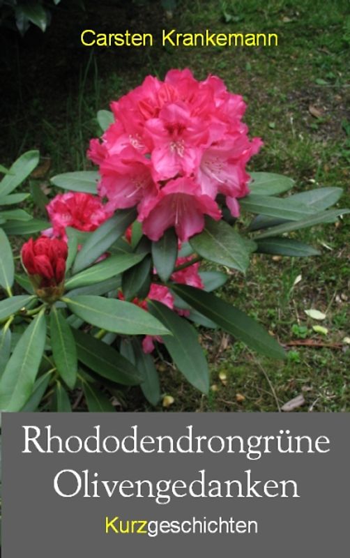 Rhododendrongrüne Olivengedanken