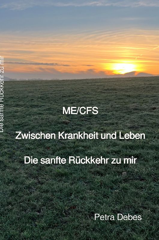 ME/CFS Zwischen Krankheit und Leben