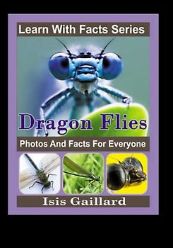 Dragonfly Photos and Facts for Everyone: Animals in Nature