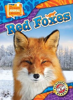 Red Foxes