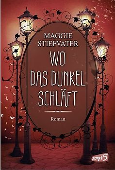 Wo das Dunkel schläft (Band 4)
