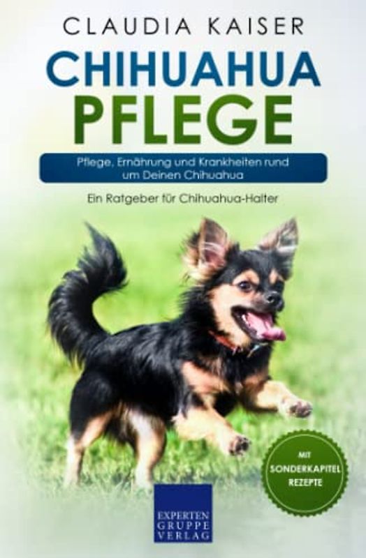 Chihuahua Pflege: Pflege, Ernährung und Krankheiten rund um Deinen Chihuahua (Chihuahua Band, Band 3)