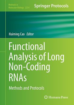 Functional Analysis of Long Non-Coding RNAs