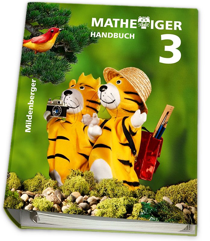 Mathetiger 3, Handbuch Teil A