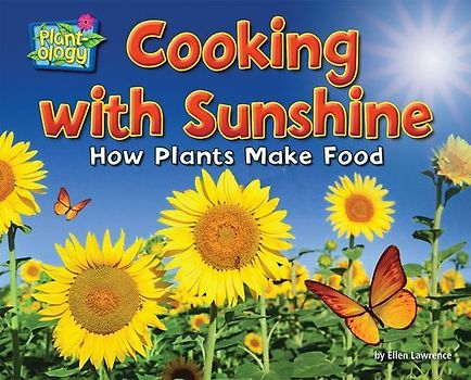 Cooking with Sunshine