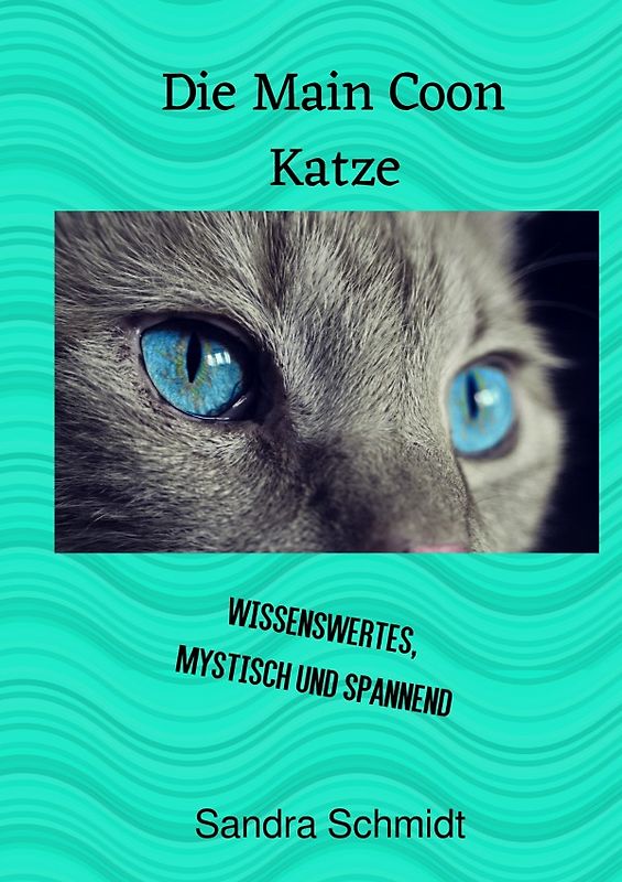 Eine Liebe für die Main Coon Katze: