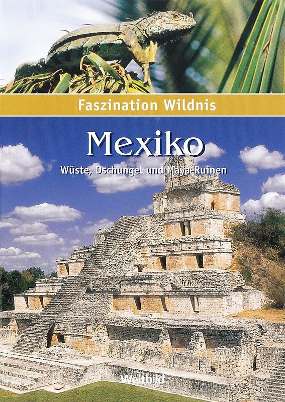 Faszination Wildnis: Mexico - Wüste, Dschungel und Maya-Ruinen [Weltbild] DVD