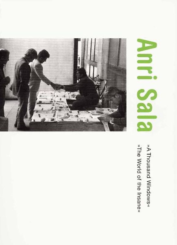 Anri Sala. A Thousand Windows. The World of the Insane