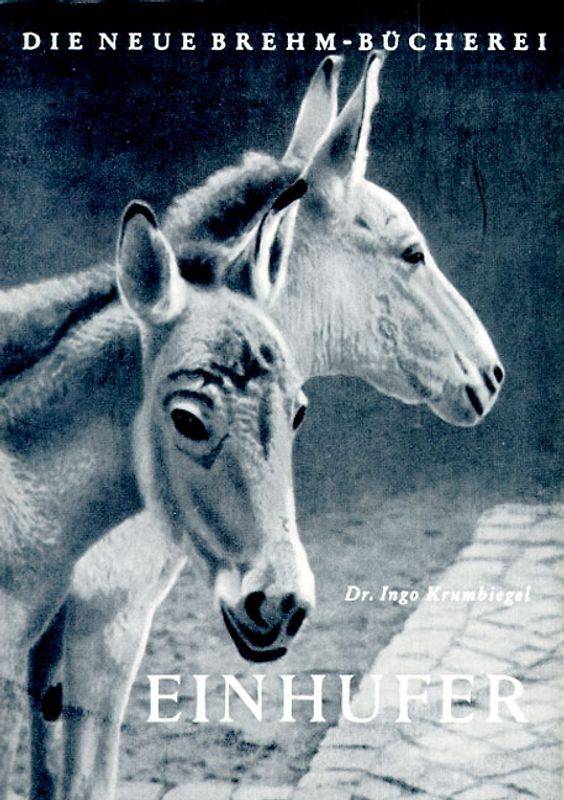 Einhufer