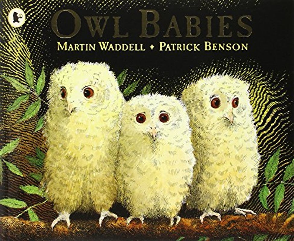 Owl Babies. (Bilderbücher) - Martin Waddell