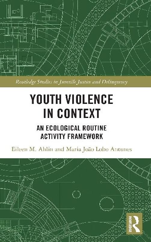 Youth Violence in Context