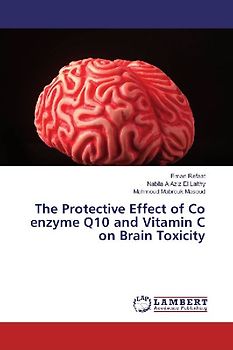 The Protective Effect of Co enzyme Q10 and Vitamin C on Brain Toxicity