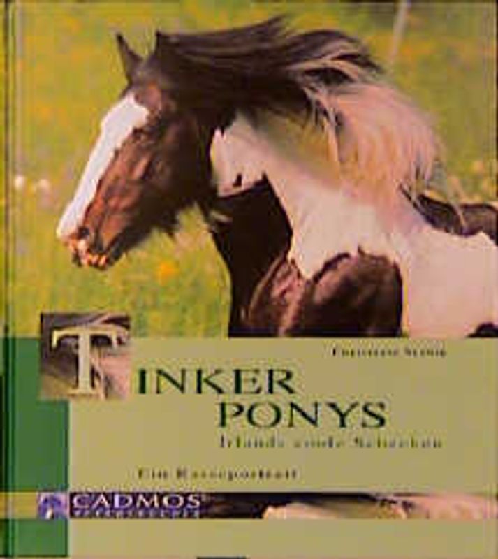 Tinker Ponys