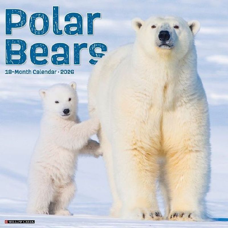 Polar Bears 12 X 12 Wall Calendar