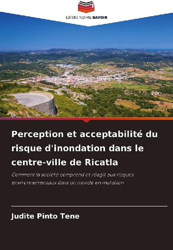 Perception et acceptabilité du risque d'inondation dans le centre-ville de Ricatla
