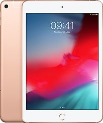Apple iPad mini 5 7,9 256 Go [Wi-Fi + cellulaire] or