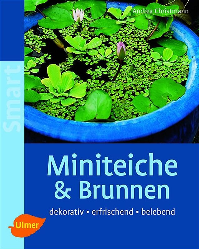 Miniteiche & Brunnen