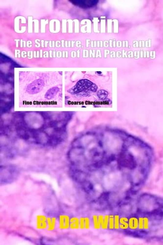 Chromatin: The Structure, Function, and Regulation of DNA Packaging
